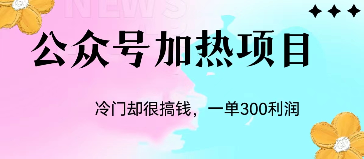 冷门公众号加热项目，每天1-2小时，一单100-300+资源整合-网赚项目-互联网创业思恩宝库
