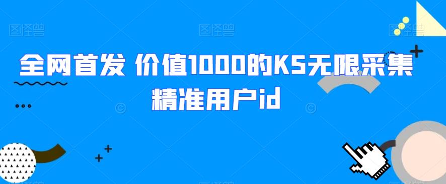 全网首发 价值1000的KS无限采集精准用户id资源整合-网赚项目-互联网创业思恩宝库