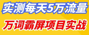 百度万词霸屏实操项目引流课，30天霸屏10万关键词资源整合-网赚项目-互联网创业思恩宝库