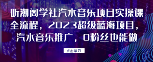 听潮阁学社汽水音乐项目实操课全流程，2023超级蓝海项目，汽水音乐推广，0粉丝也能做！资源整合-网赚项目-互联网创业思恩宝库